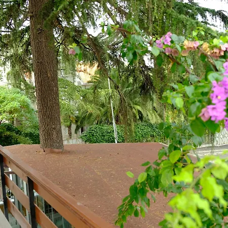 Nizam Butik Büyükada 3* Adalar