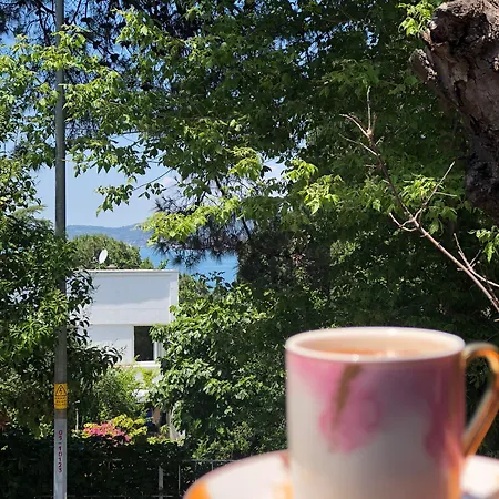 Nizam Butik Büyükada Otel 3*