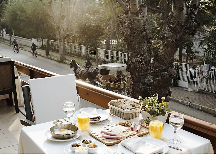 Nizam Butik Bueyuekada 3* Adalar