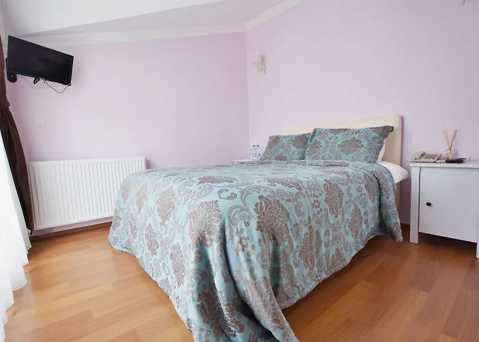 Nizam Butik Bueyuekada 3*